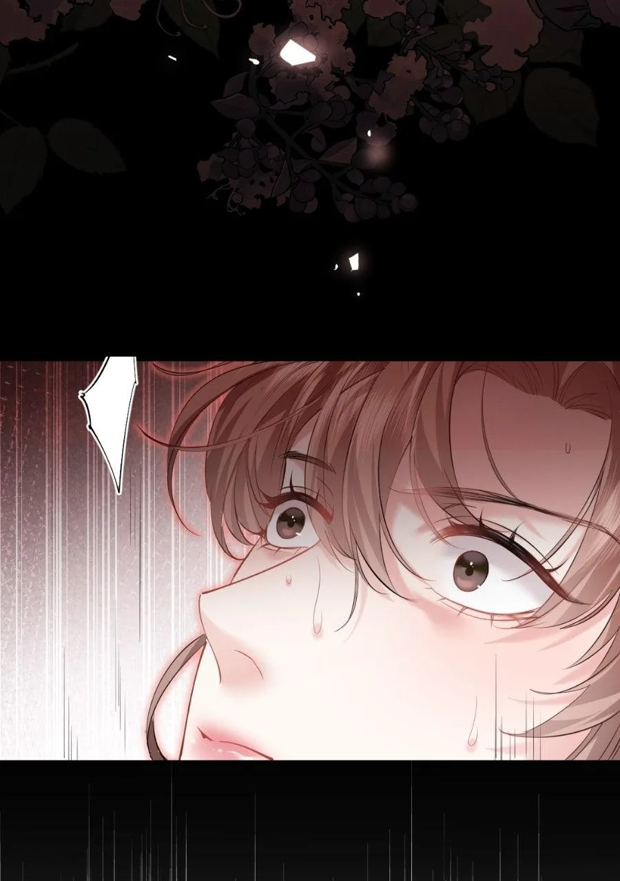 Meet My Ex Again As His Aunt Chapter 19 page 9