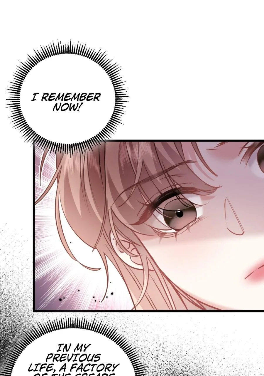 Meet My Ex Again As His Aunt Chapter 24 page 28
