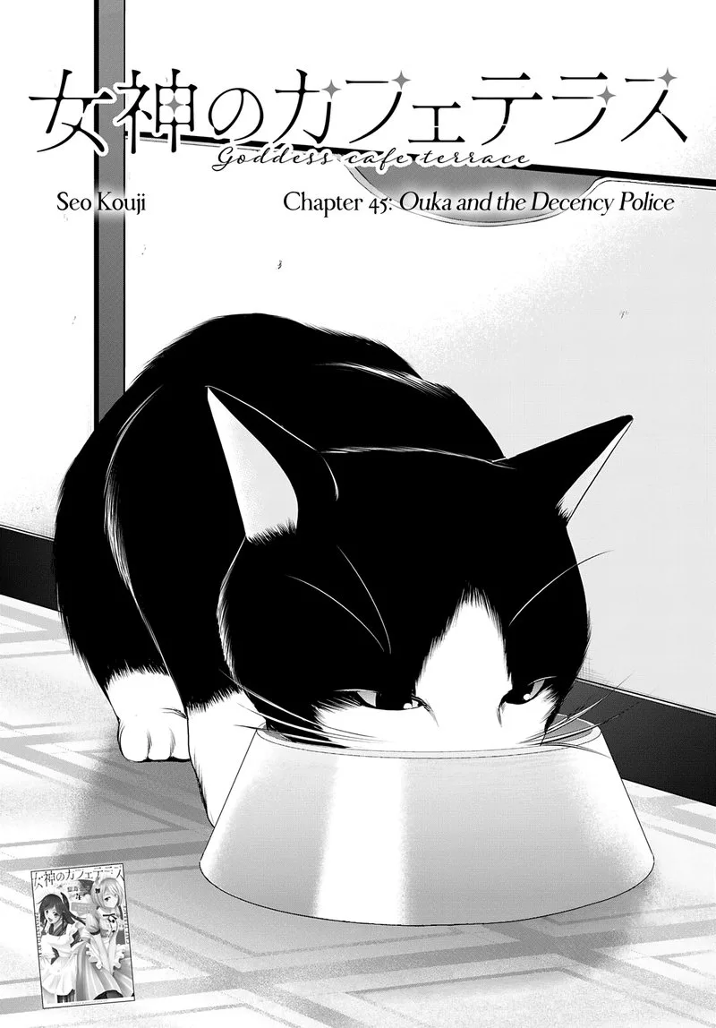 Megami no Café Terrace Chapter 45 page 2