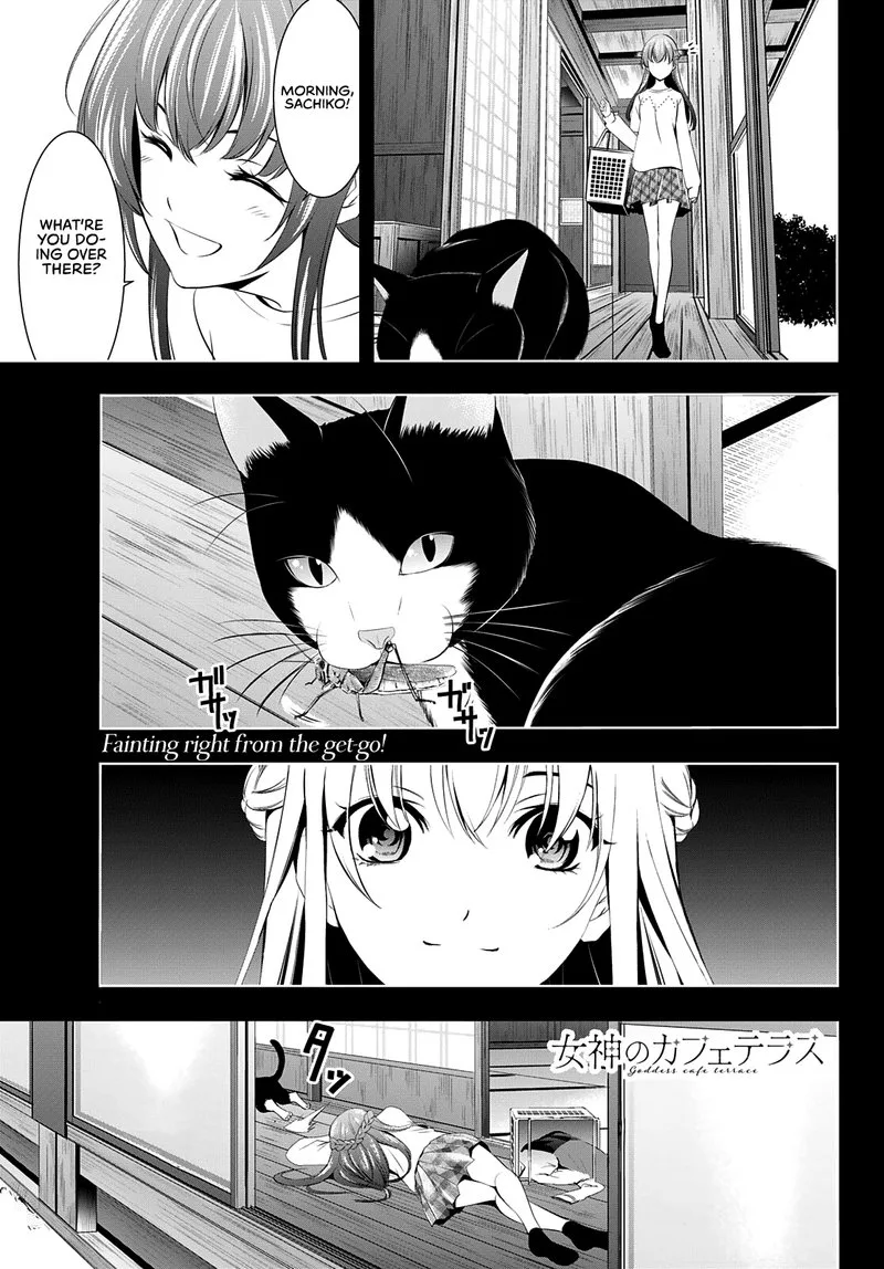 Megami no Café Terrace Chapter 46 page 1