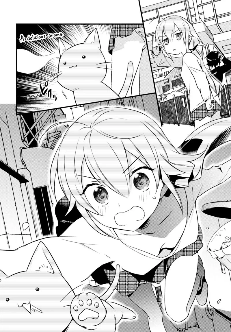 Megami-ryou no Ryoubo-kun Chapter 52 page 5