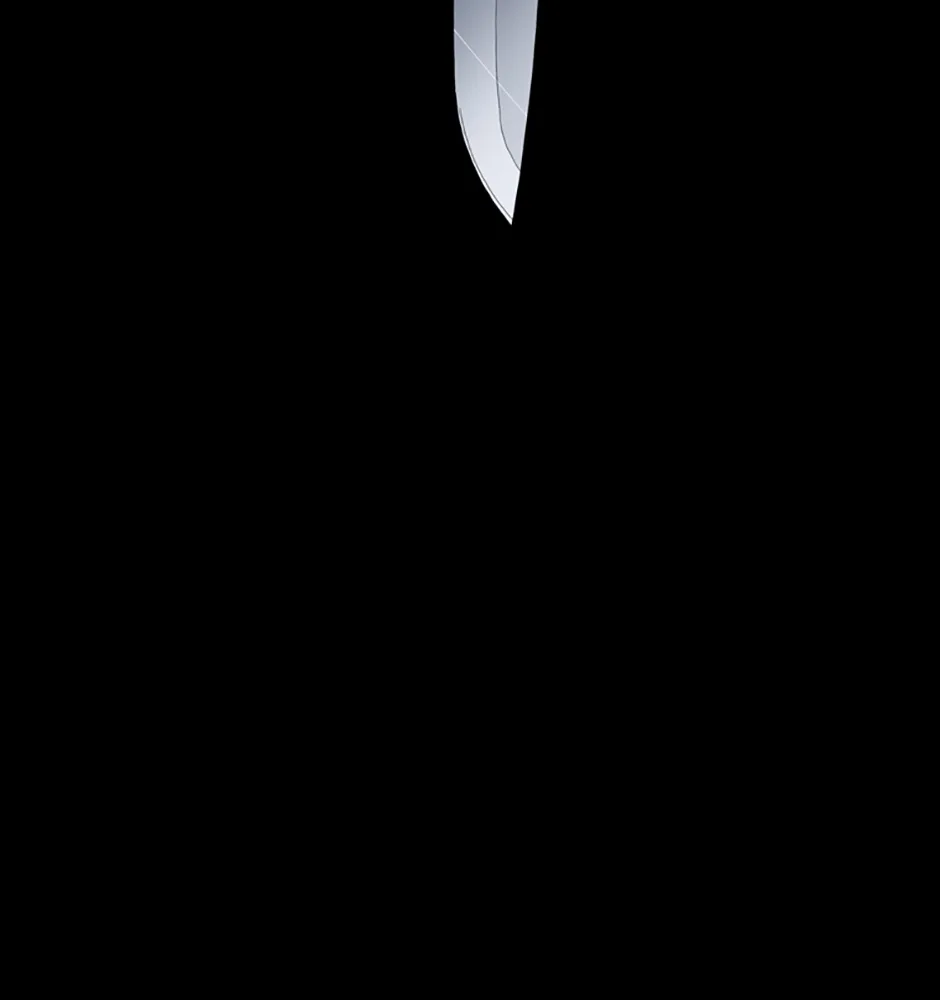 MEMORIST Chapter 12 page 68