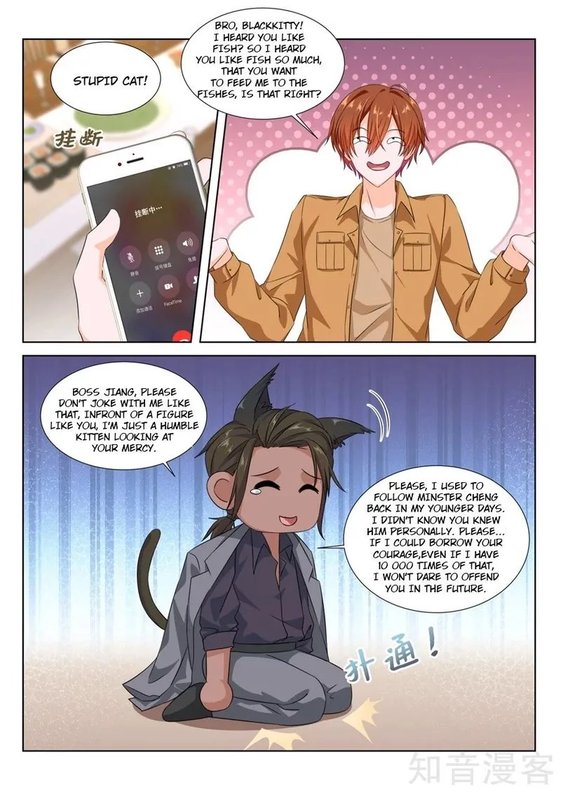 Metropolitan System Chapter 213 page 11
