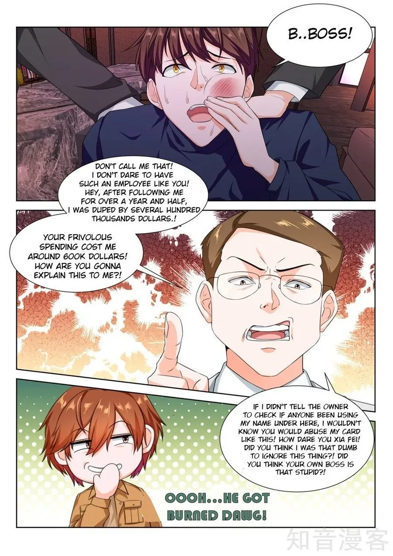 Metropolitan System Chapter 219 page 2