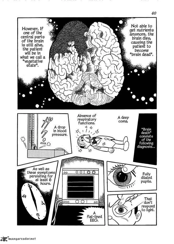 Midnight Chapter 10 page 14