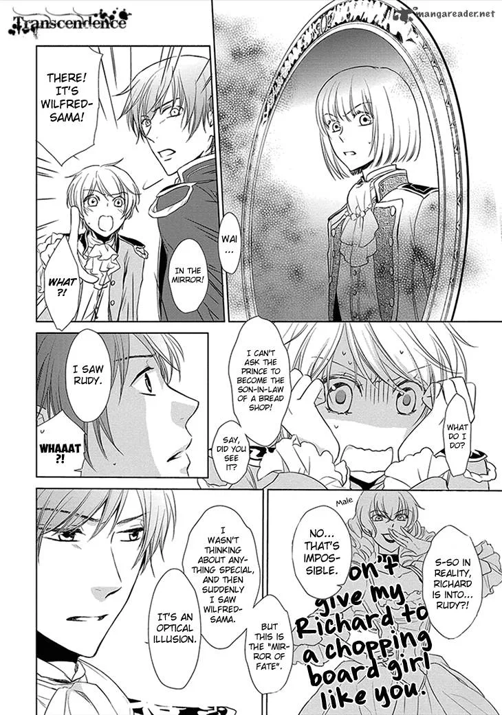 Migawari Hakushaku to Himitsu no Nikki Chapter 3 page 17