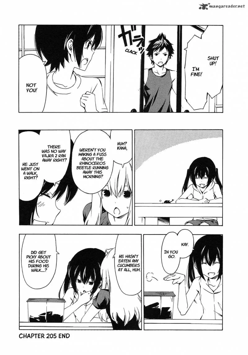 Minami-ke Chapter 205 page 8
