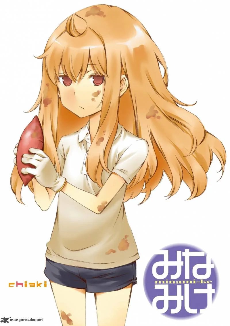 Minami-ke Chapter 255 page 2