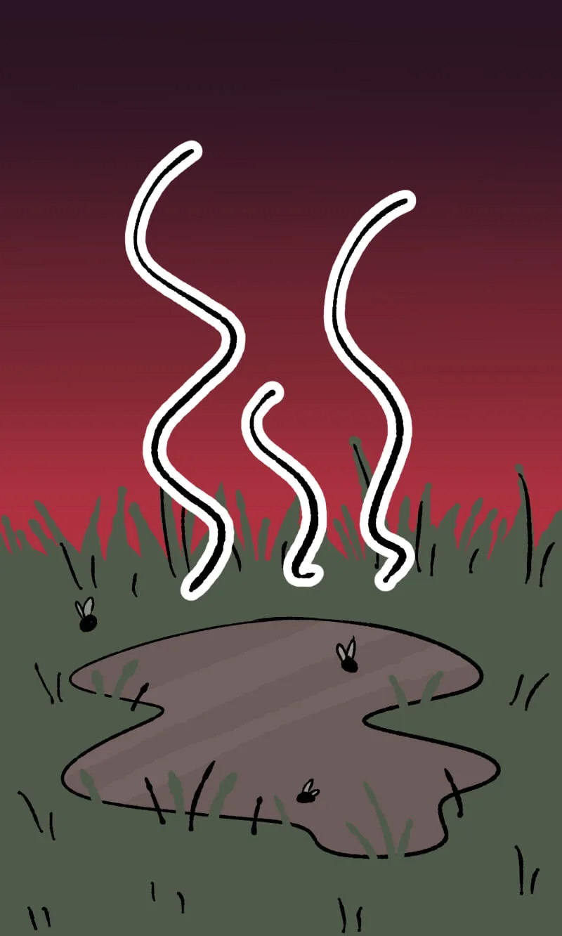 Misi Chapter 34 page 6