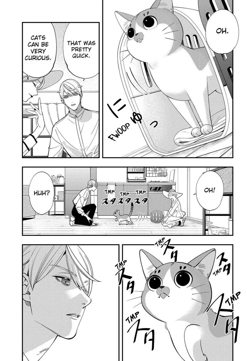 Miyaou Tarou ga Neko wo Kau Nante Chapter 1 page 28