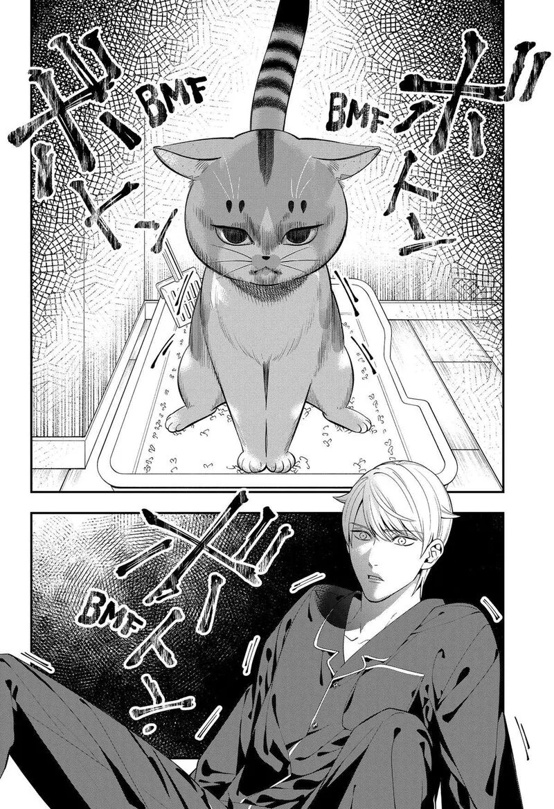 Miyaou Tarou ga Neko wo Kau Nante Chapter 1 page 43