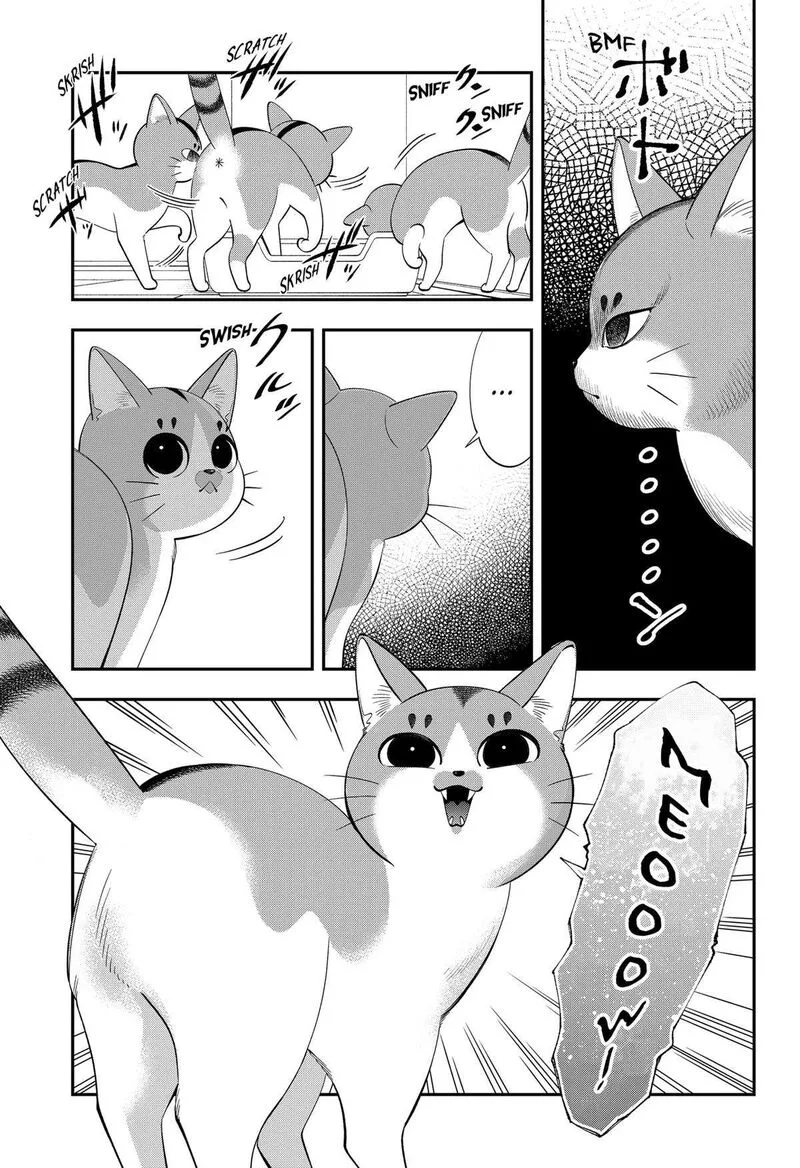 Miyaou Tarou ga Neko wo Kau Nante Chapter 1 page 44
