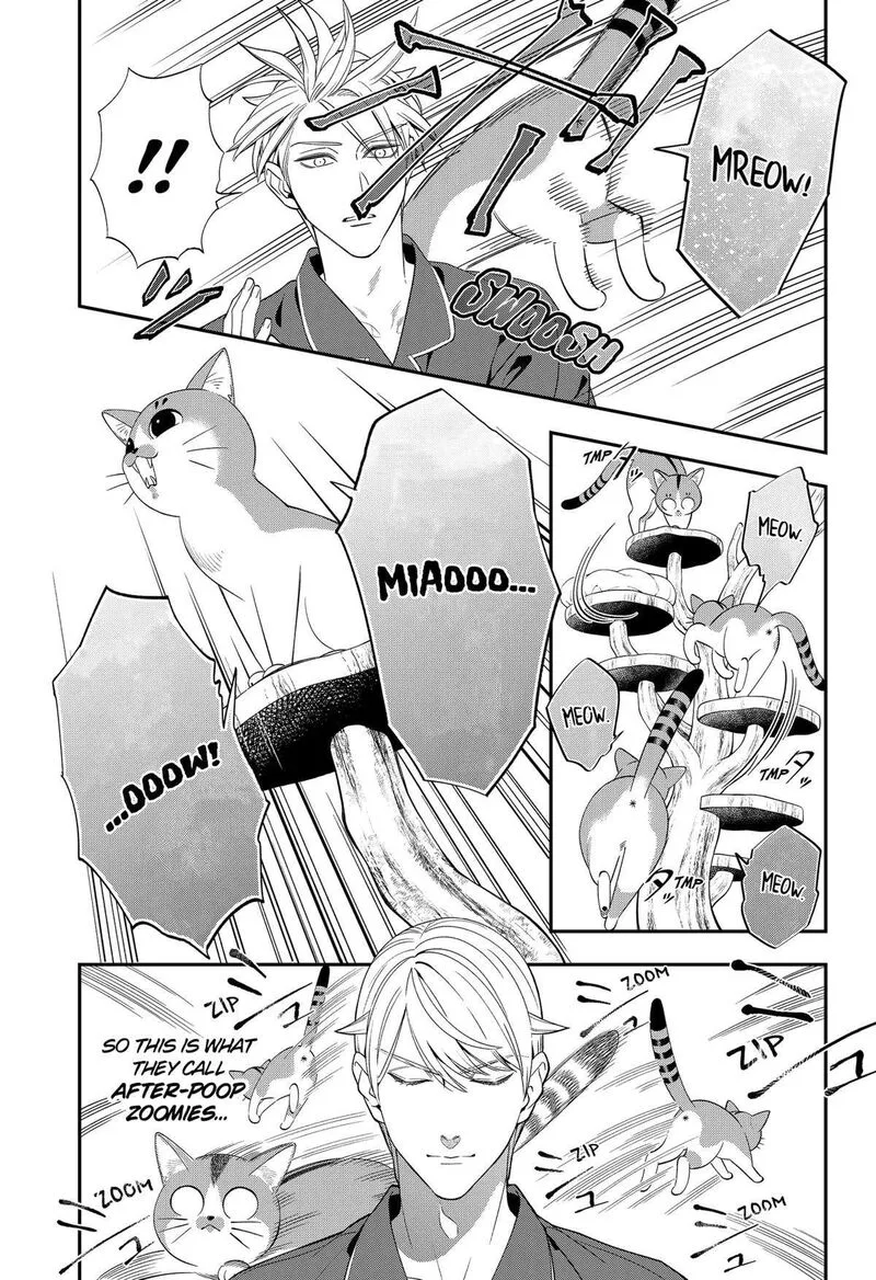 Miyaou Tarou ga Neko wo Kau Nante Chapter 1 page 46