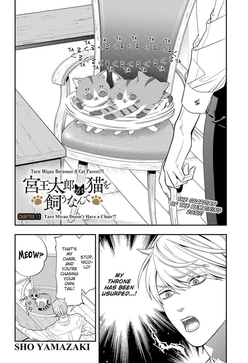 Miyaou Tarou ga Neko wo Kau Nante Chapter 11 page 2