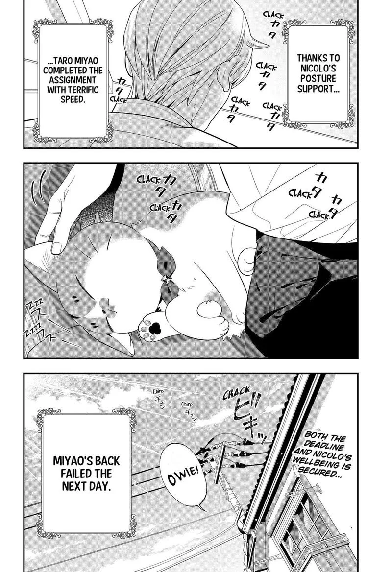 Miyaou Tarou ga Neko wo Kau Nante Chapter 11 page 14