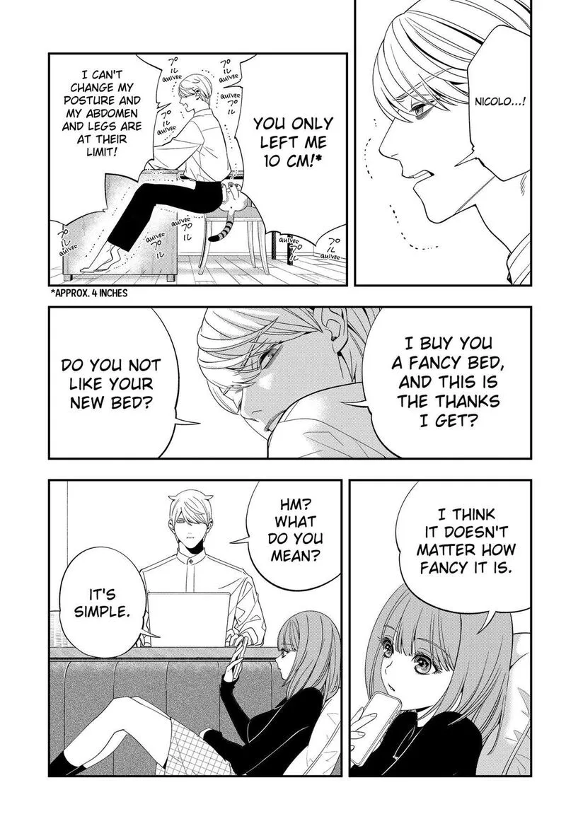 Miyaou Tarou ga Neko wo Kau Nante Chapter 11 page 11