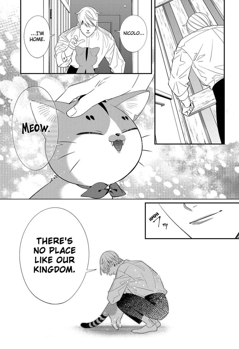 Miyaou Tarou ga Neko wo Kau Nante Chapter 12 page 19