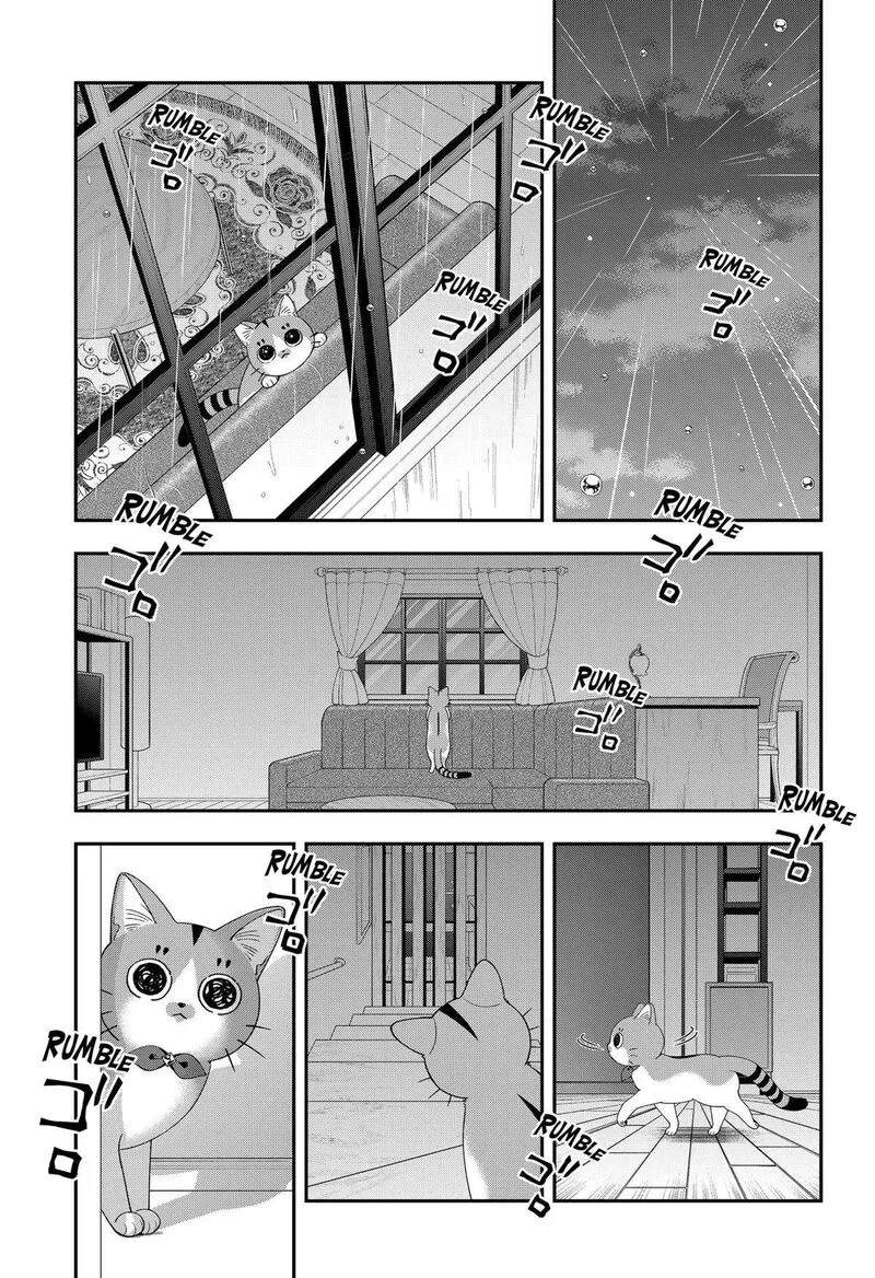 Miyaou Tarou ga Neko wo Kau Nante Chapter 12 page 11