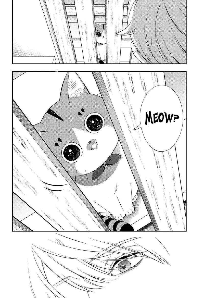 Miyaou Tarou ga Neko wo Kau Nante Chapter 12 page 18
