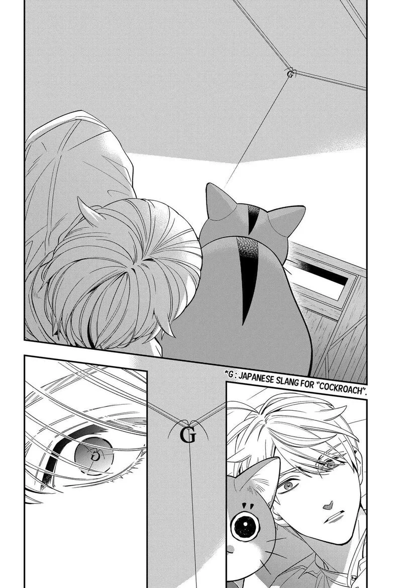 Miyaou Tarou ga Neko wo Kau Nante Chapter 13 page 4