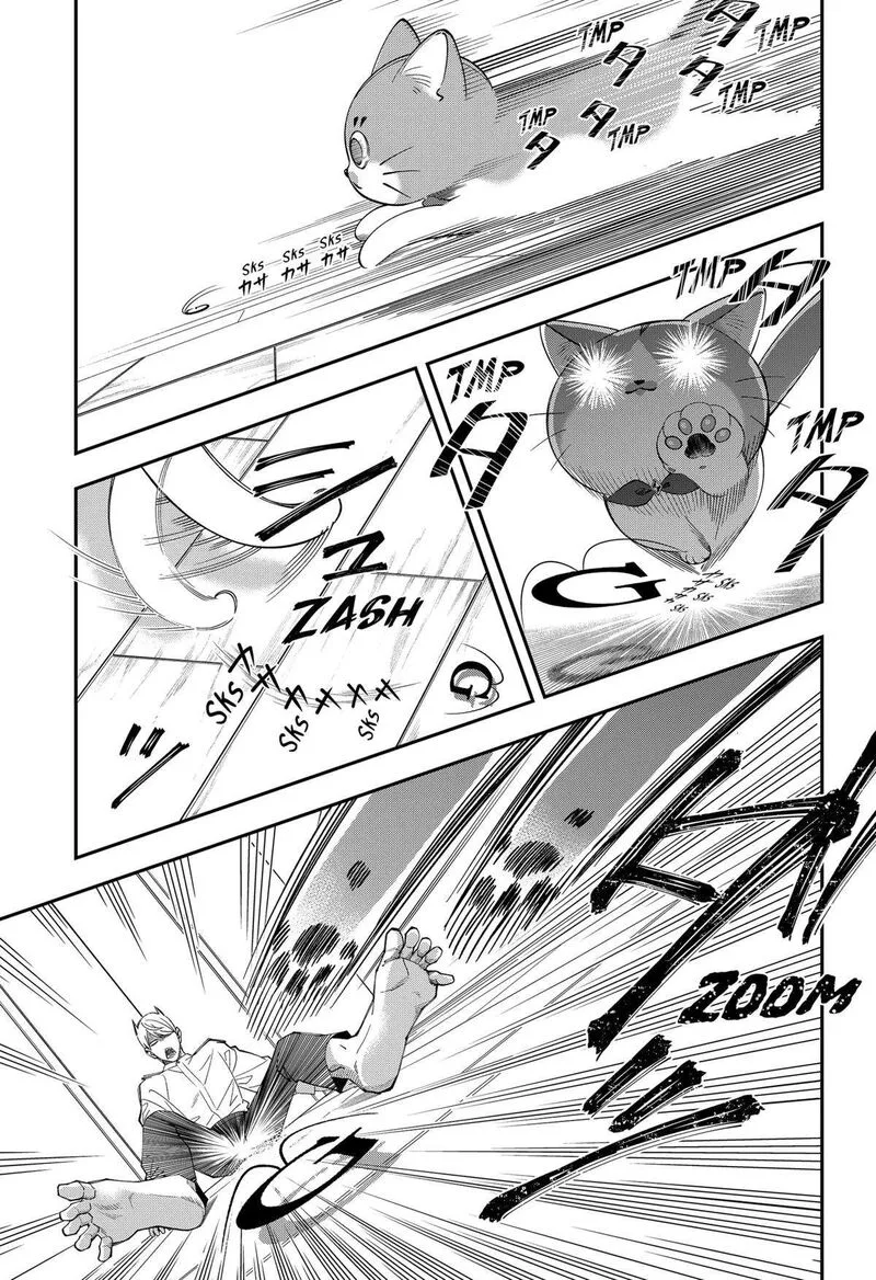 Miyaou Tarou ga Neko wo Kau Nante Chapter 13 page 9