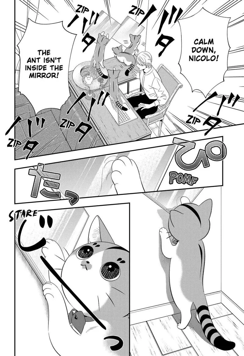 Miyaou Tarou ga Neko wo Kau Nante Chapter 14 page 8