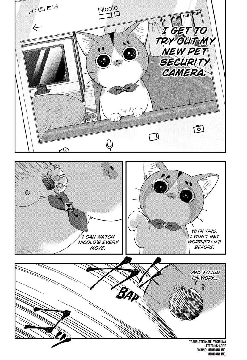 Miyaou Tarou ga Neko wo Kau Nante Chapter 15 page 4