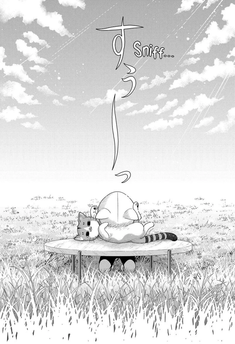 Miyaou Tarou ga Neko wo Kau Nante Chapter 18 page 8