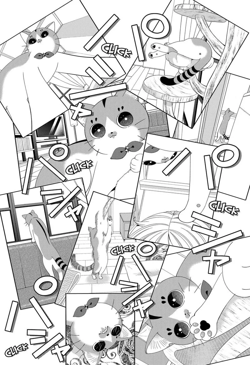 Miyaou Tarou ga Neko wo Kau Nante Chapter 19 page 6