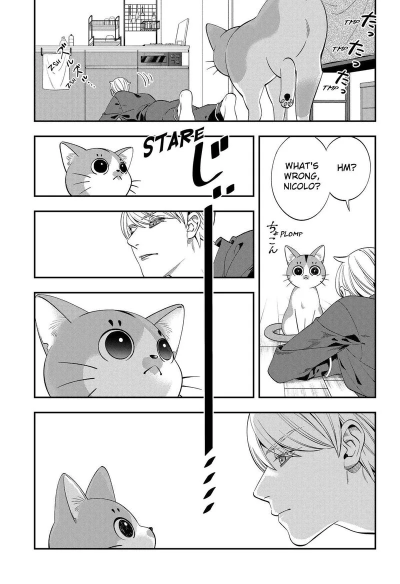 Miyaou Tarou ga Neko wo Kau Nante Chapter 2 page 27