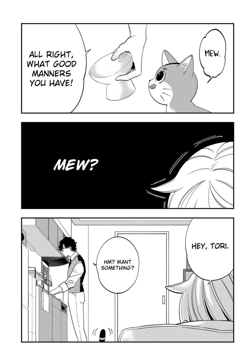 Miyaou Tarou ga Neko wo Kau Nante Chapter 2 page 17