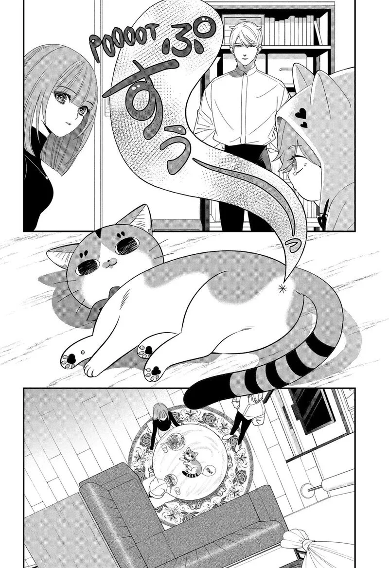 Miyaou Tarou ga Neko wo Kau Nante Chapter 20 page 8