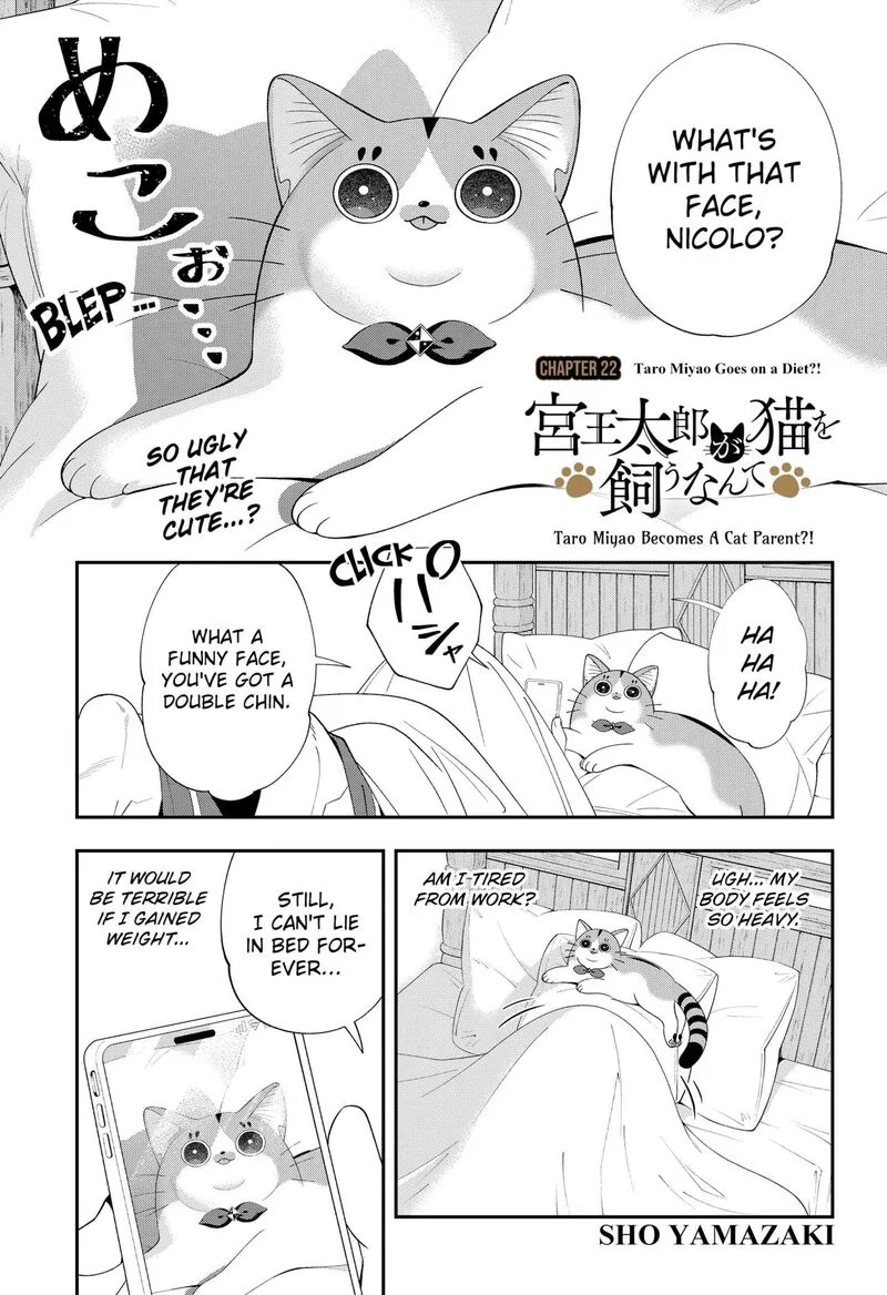 Miyaou Tarou ga Neko wo Kau Nante Chapter 22 page 1