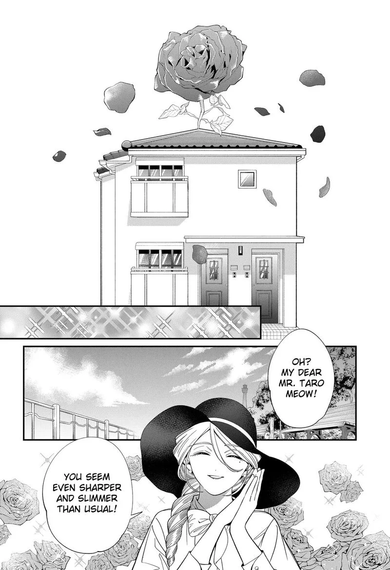 Miyaou Tarou ga Neko wo Kau Nante Chapter 22 page 14