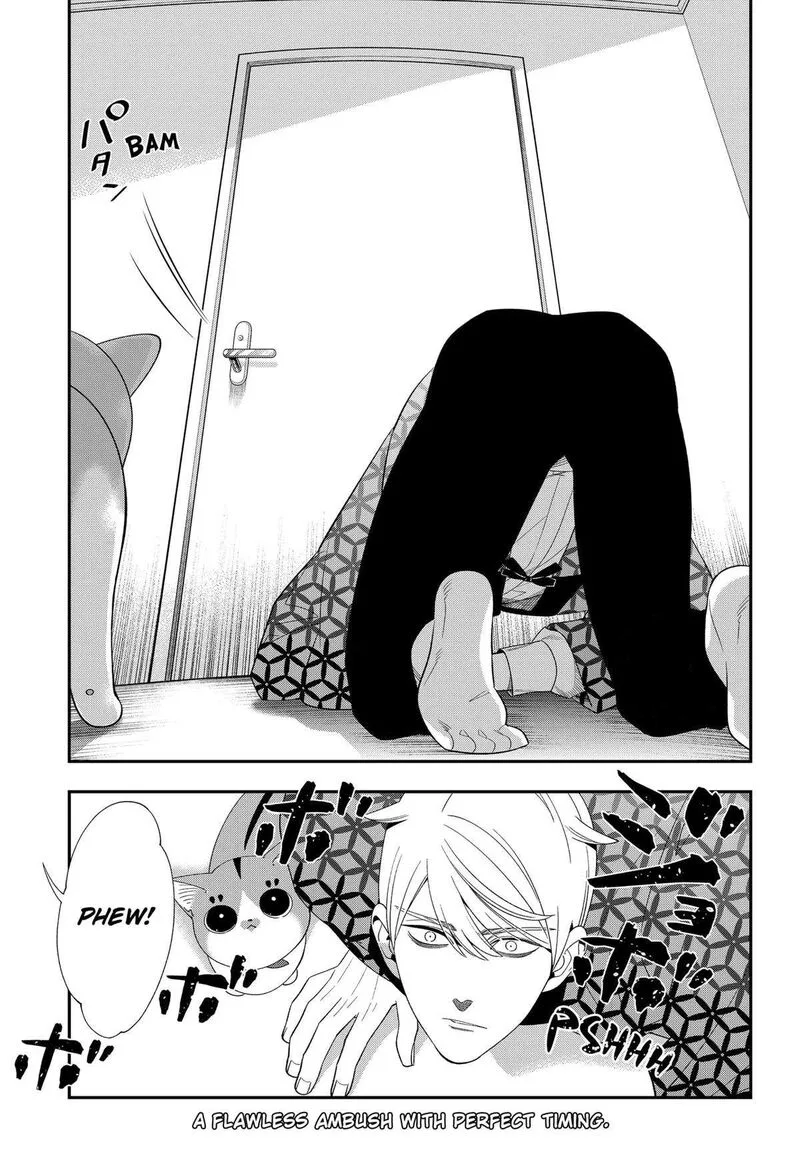Miyaou Tarou ga Neko wo Kau Nante Chapter 25 page 17