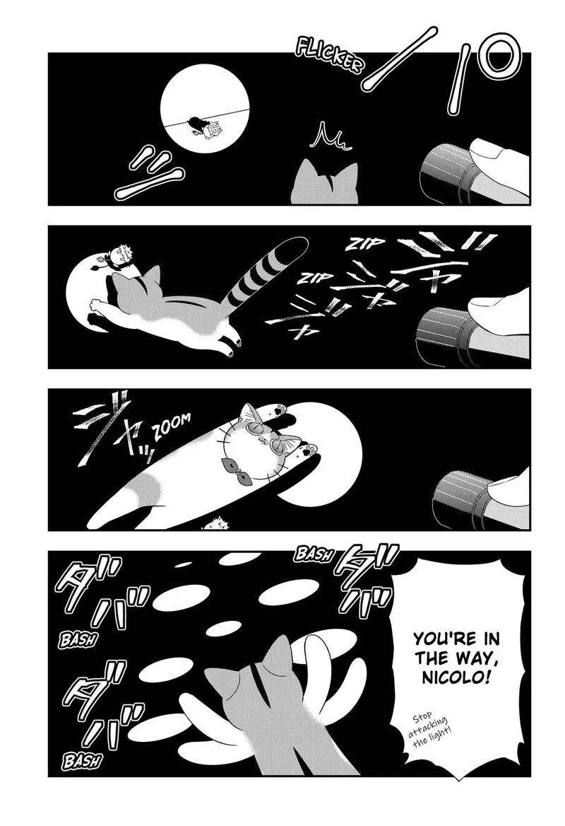 Miyaou Tarou ga Neko wo Kau Nante Chapter 26 page 5