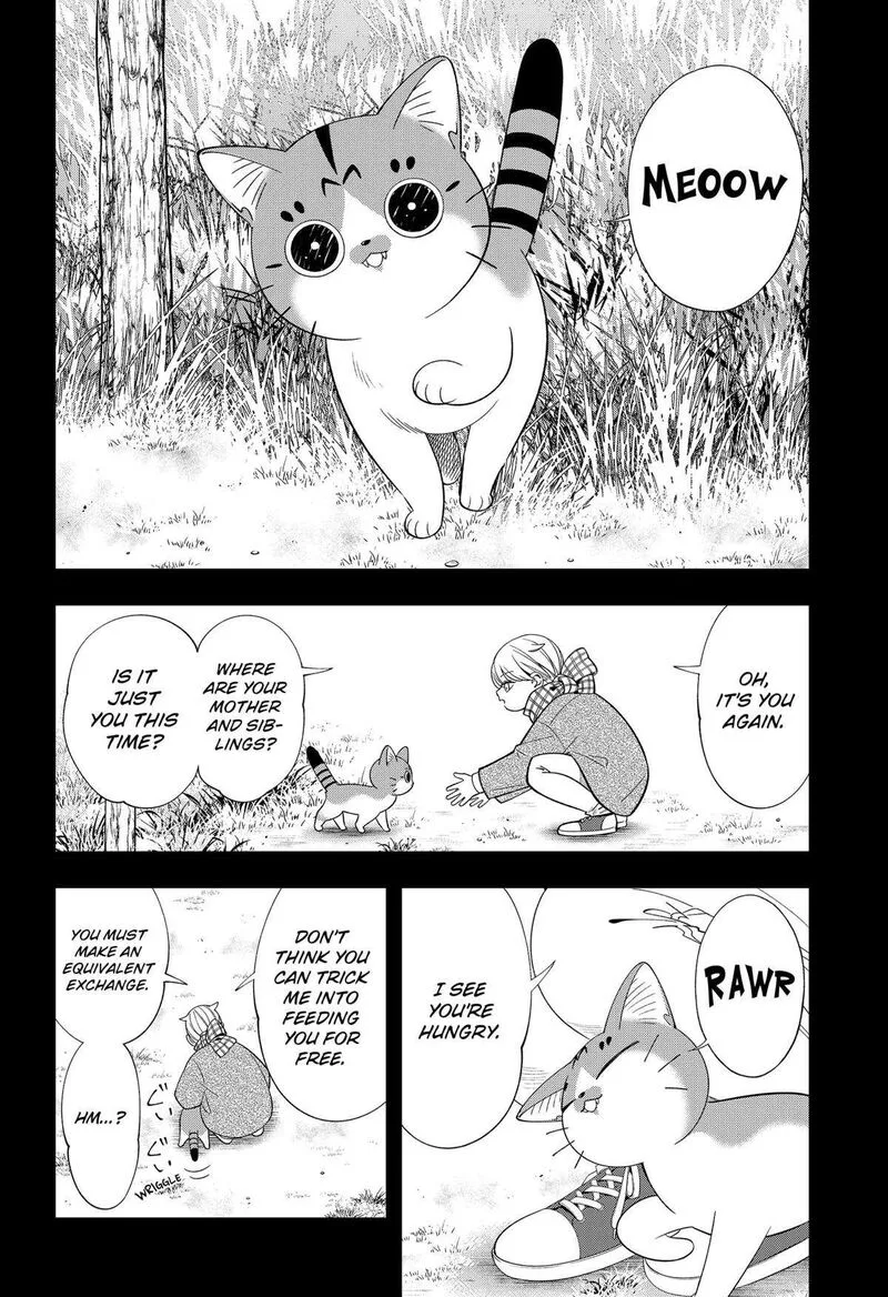 Miyaou Tarou ga Neko wo Kau Nante Chapter 27 page 6