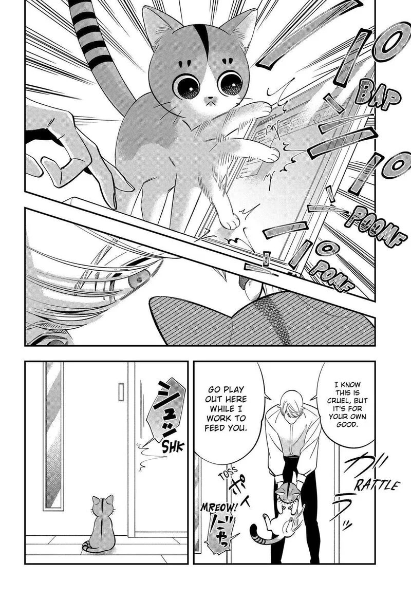 Miyaou Tarou ga Neko wo Kau Nante Chapter 3 page 12