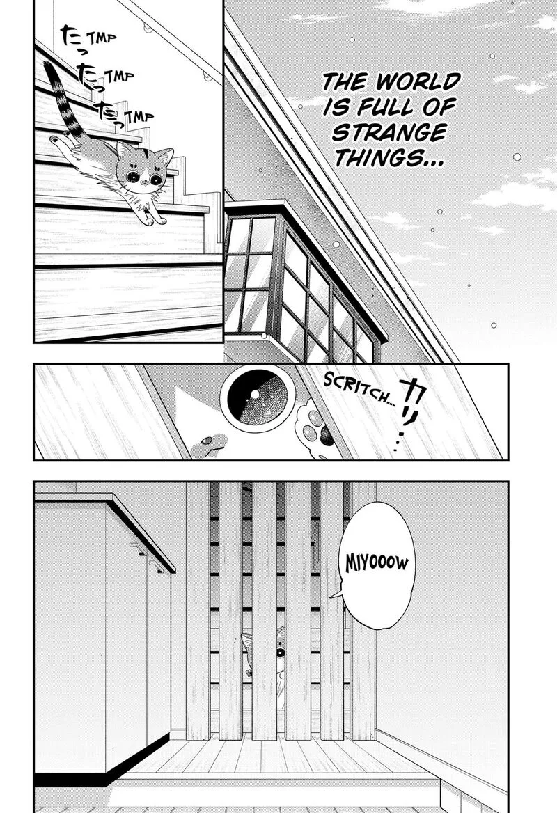 Miyaou Tarou ga Neko wo Kau Nante Chapter 31 page 14