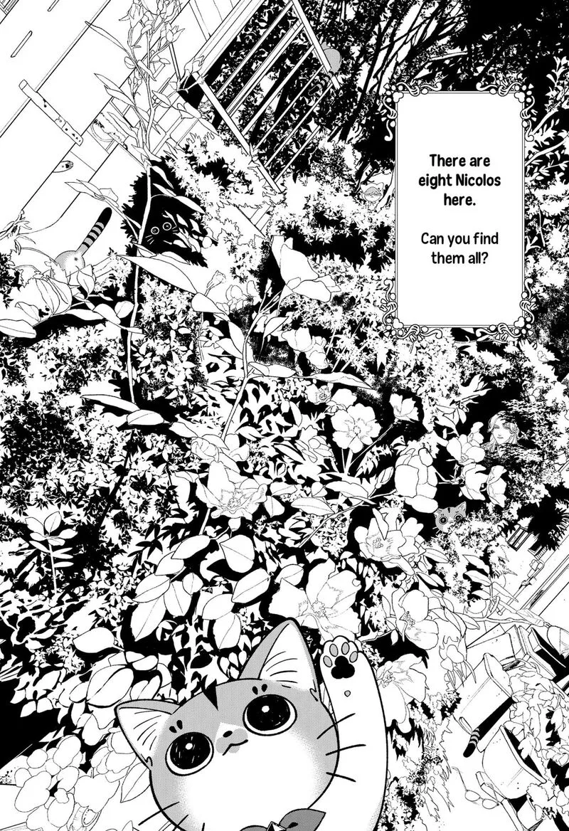Miyaou Tarou ga Neko wo Kau Nante Chapter 32.5 page 1