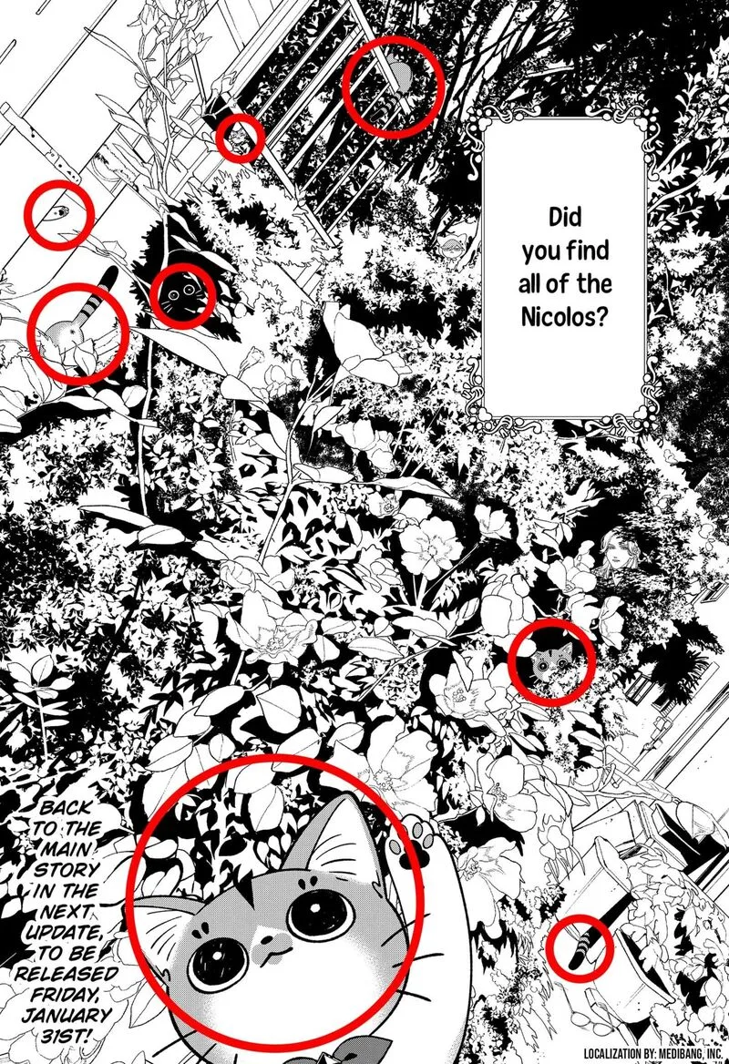 Miyaou Tarou ga Neko wo Kau Nante Chapter 32.5 page 2