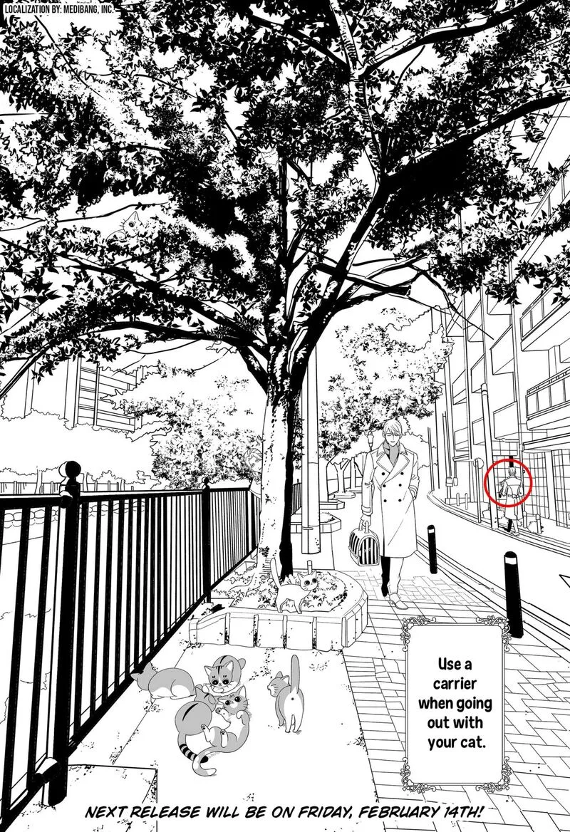 Miyaou Tarou ga Neko wo Kau Nante Chapter 33.5 page 2