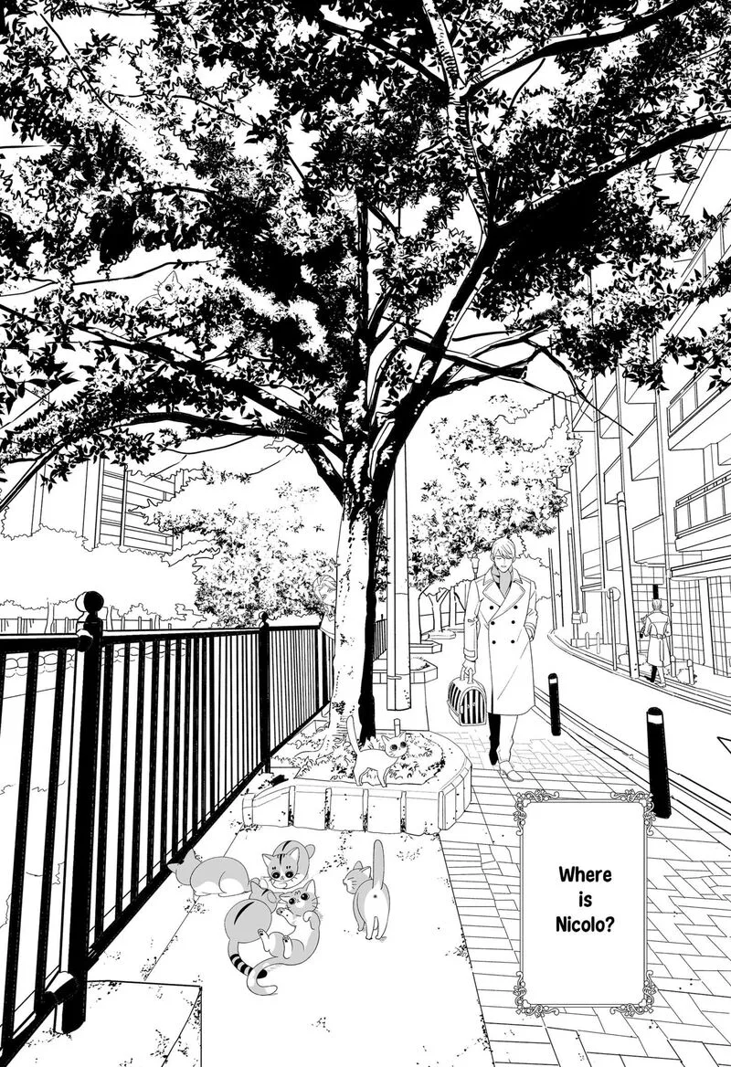 Miyaou Tarou ga Neko wo Kau Nante Chapter 33.5 page 1