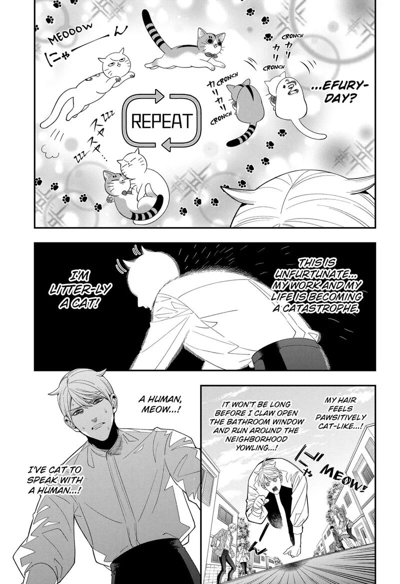 Miyaou Tarou ga Neko wo Kau Nante Chapter 33 page 13