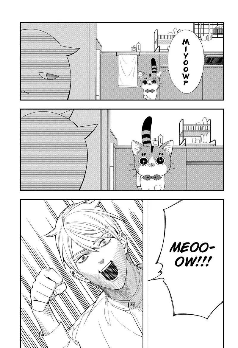 Miyaou Tarou ga Neko wo Kau Nante Chapter 33 page 7