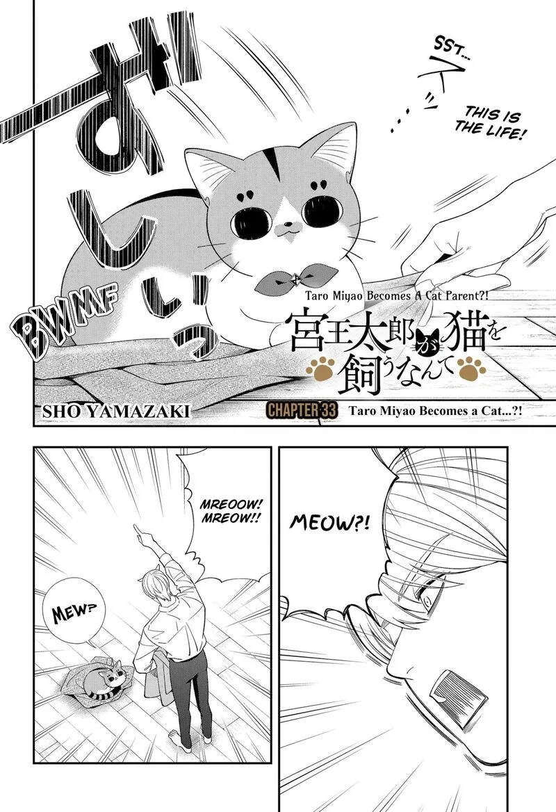 Miyaou Tarou ga Neko wo Kau Nante Chapter 33 page 2