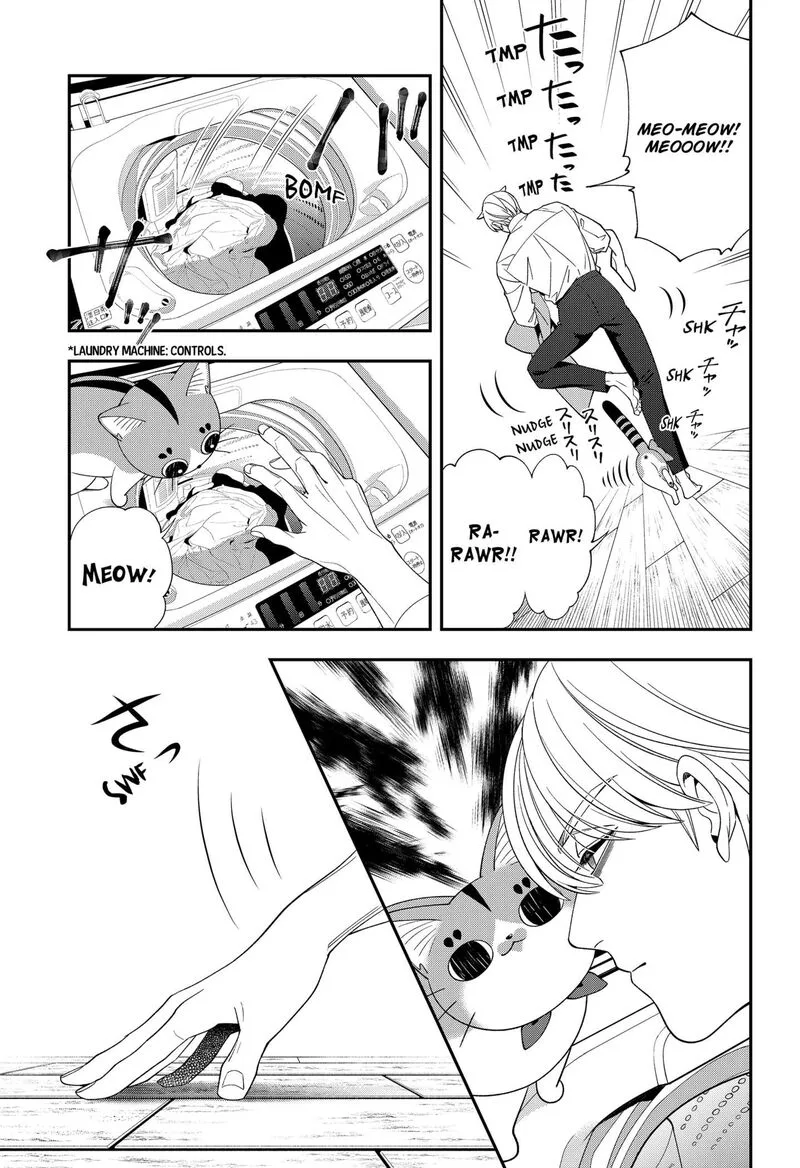 Miyaou Tarou ga Neko wo Kau Nante Chapter 33 page 3