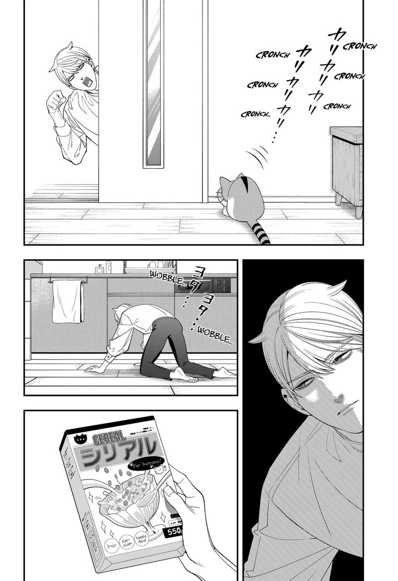Miyaou Tarou ga Neko wo Kau Nante Chapter 33 page 8