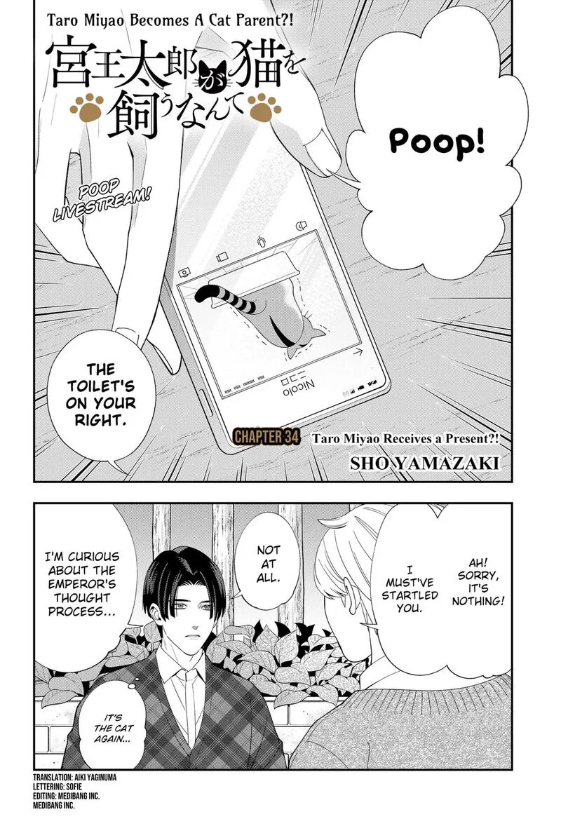 Miyaou Tarou ga Neko wo Kau Nante Chapter 34 page 2