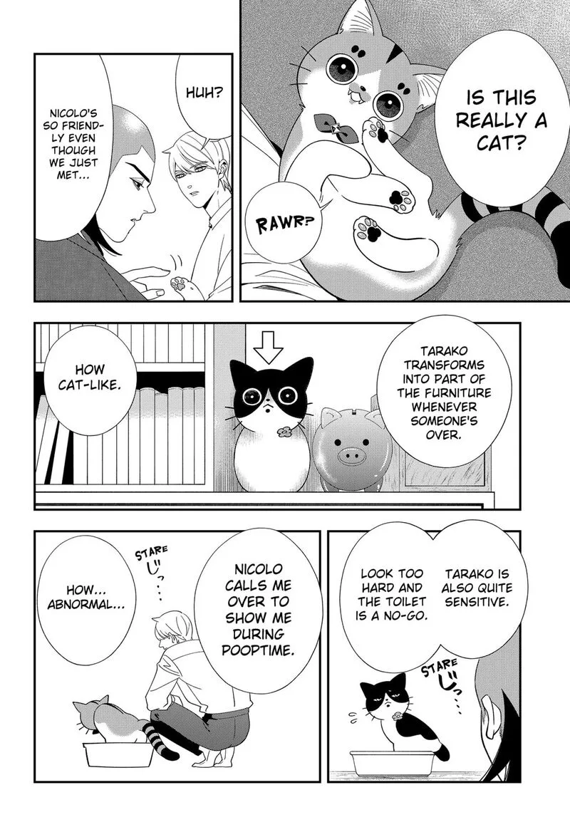 Miyaou Tarou ga Neko wo Kau Nante Chapter 36 page 6